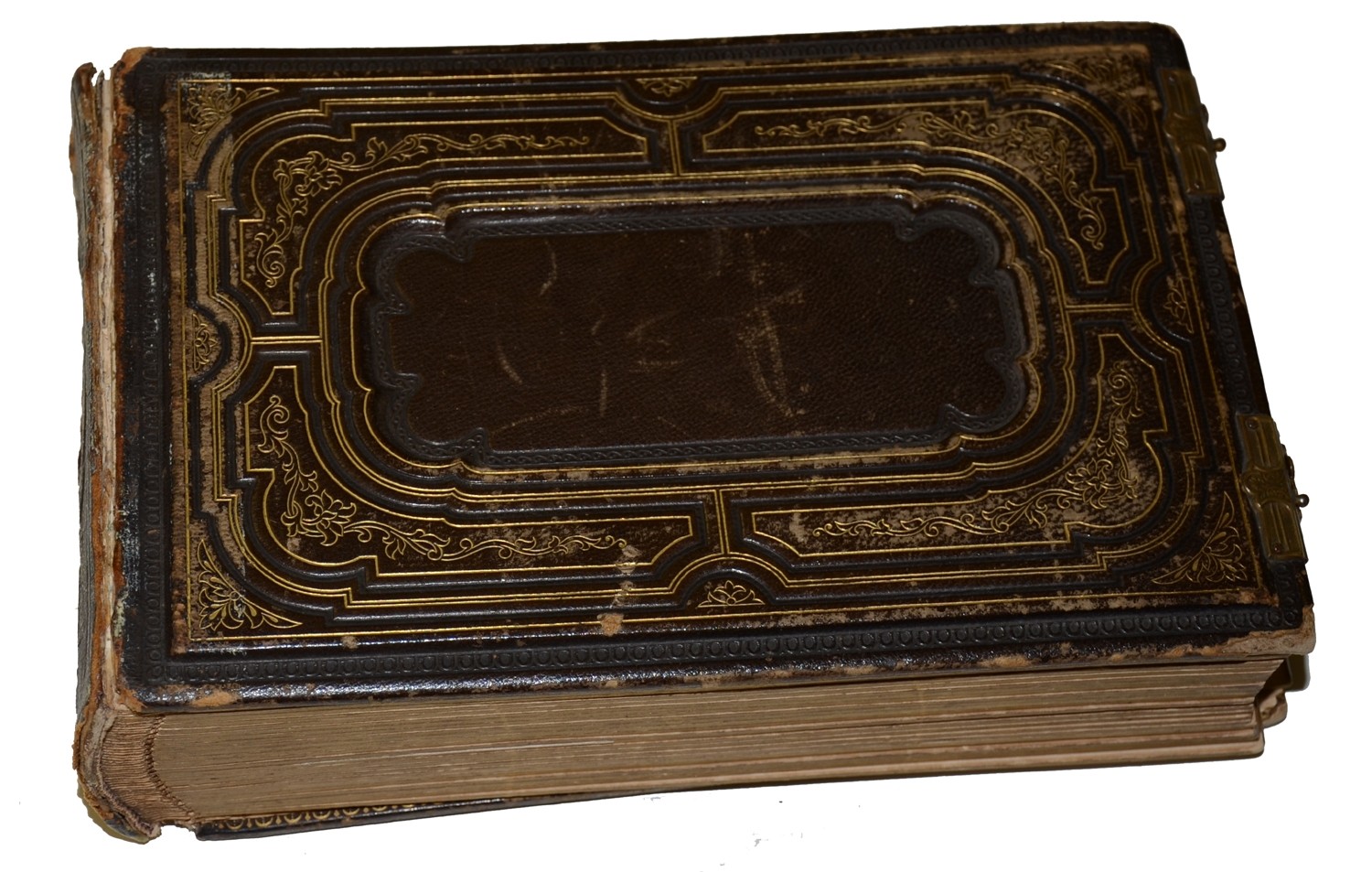 Image 4