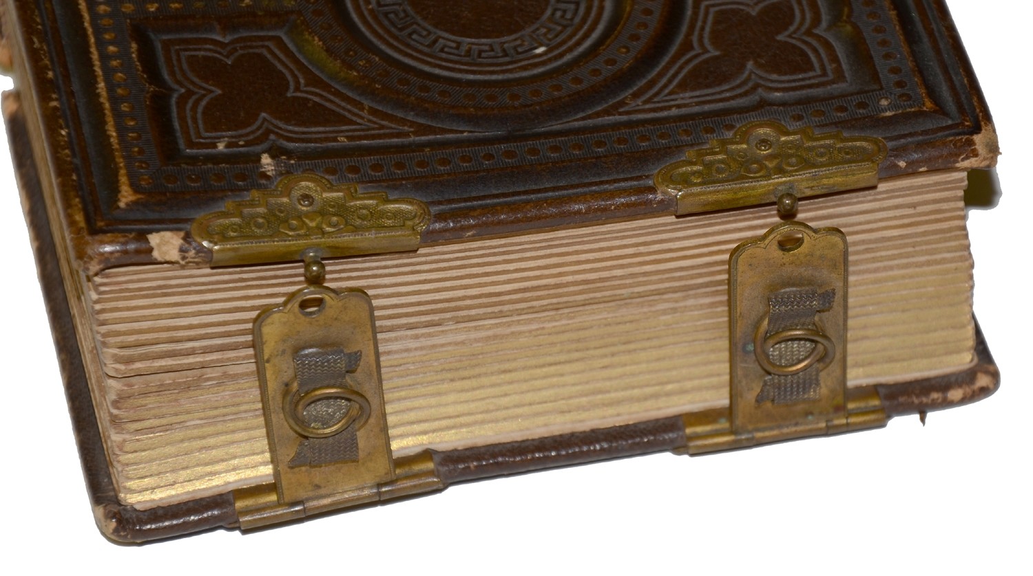 Image 15
