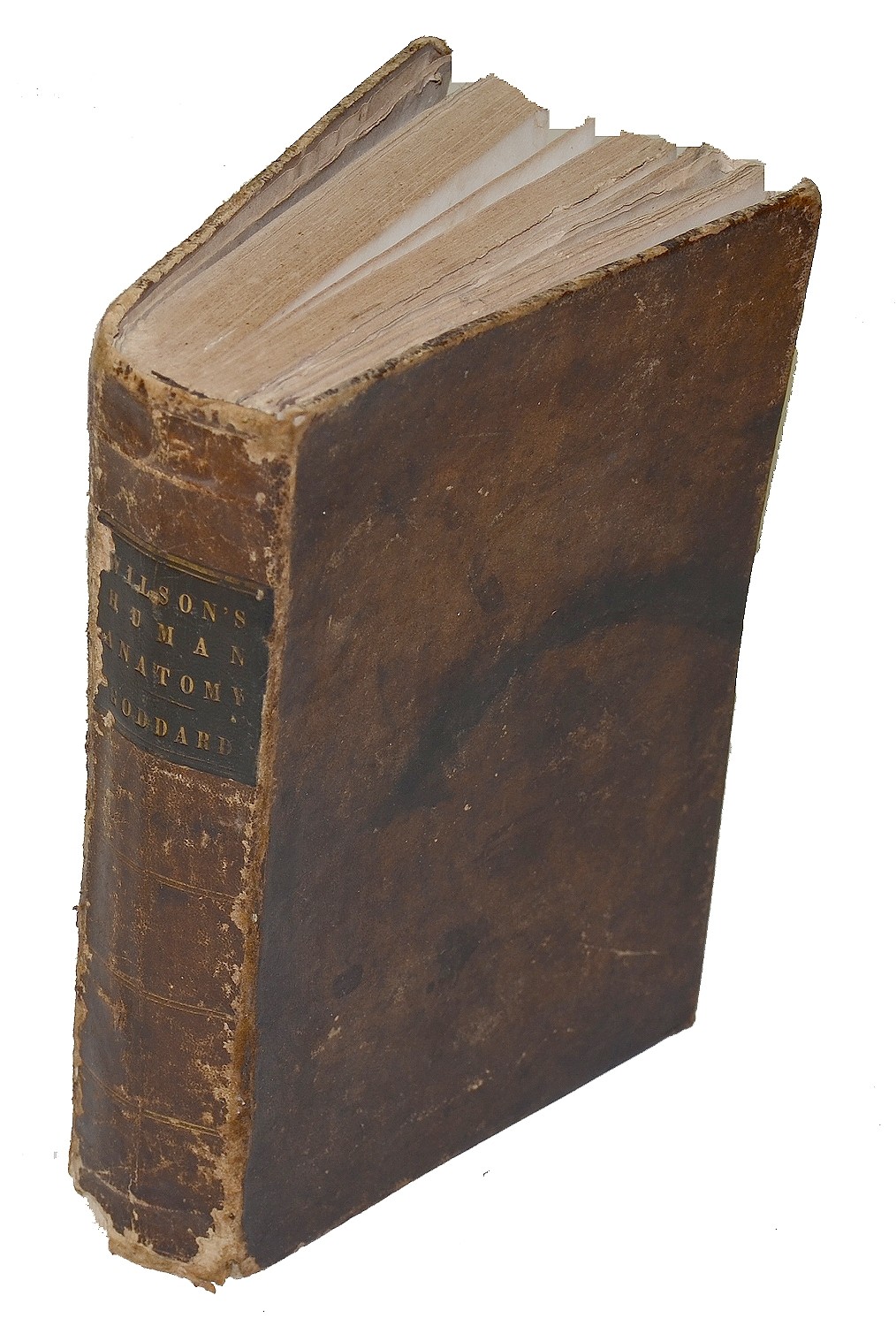A SYSTEM OF HUMAN ANATOMY, GENERAL AND SPECIAL