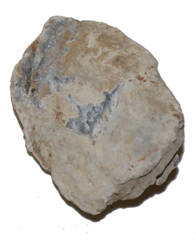 STRUCK WILLIAMS CLEANER BULLET TYPE ONE RECOVERED FROM CULPS HILL AREA, GETTYSBURG