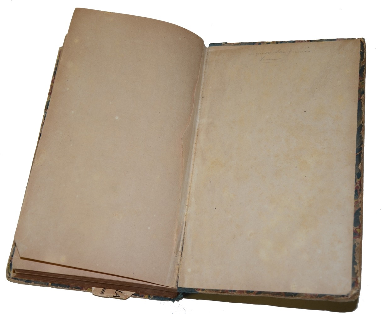 Image 8