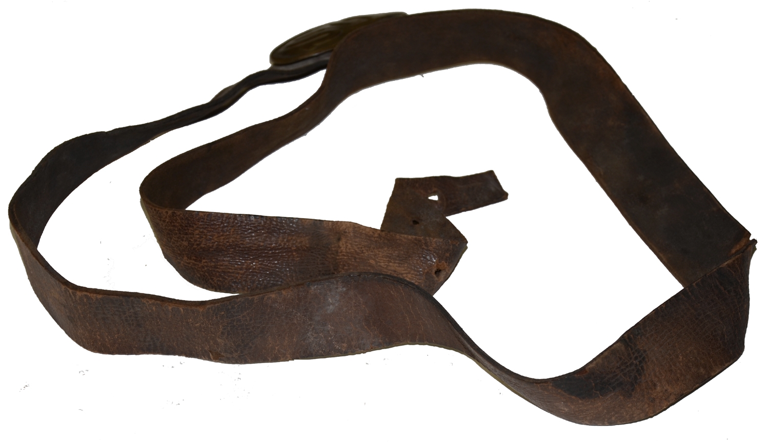 Image 11
