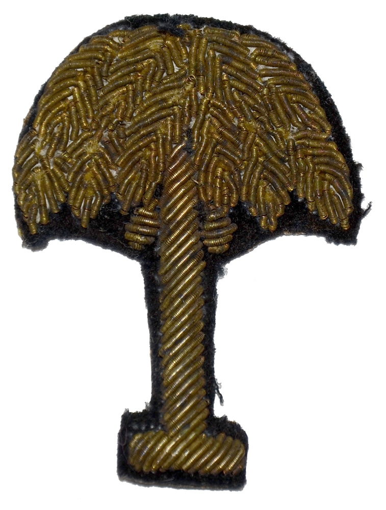 SOUTH CAROLINA EMBROIDERED HAT INSIGNIA