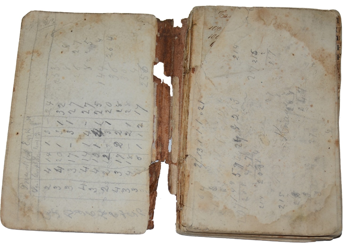 Image 4
