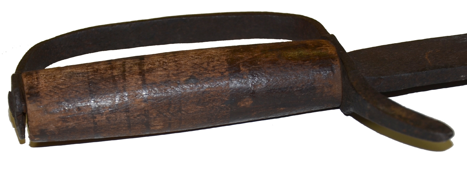 Image 5