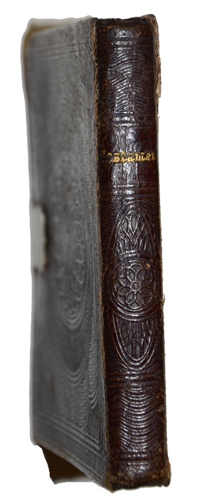 Image 7