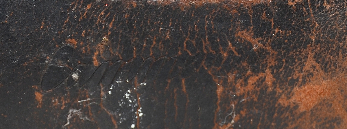 Image 11