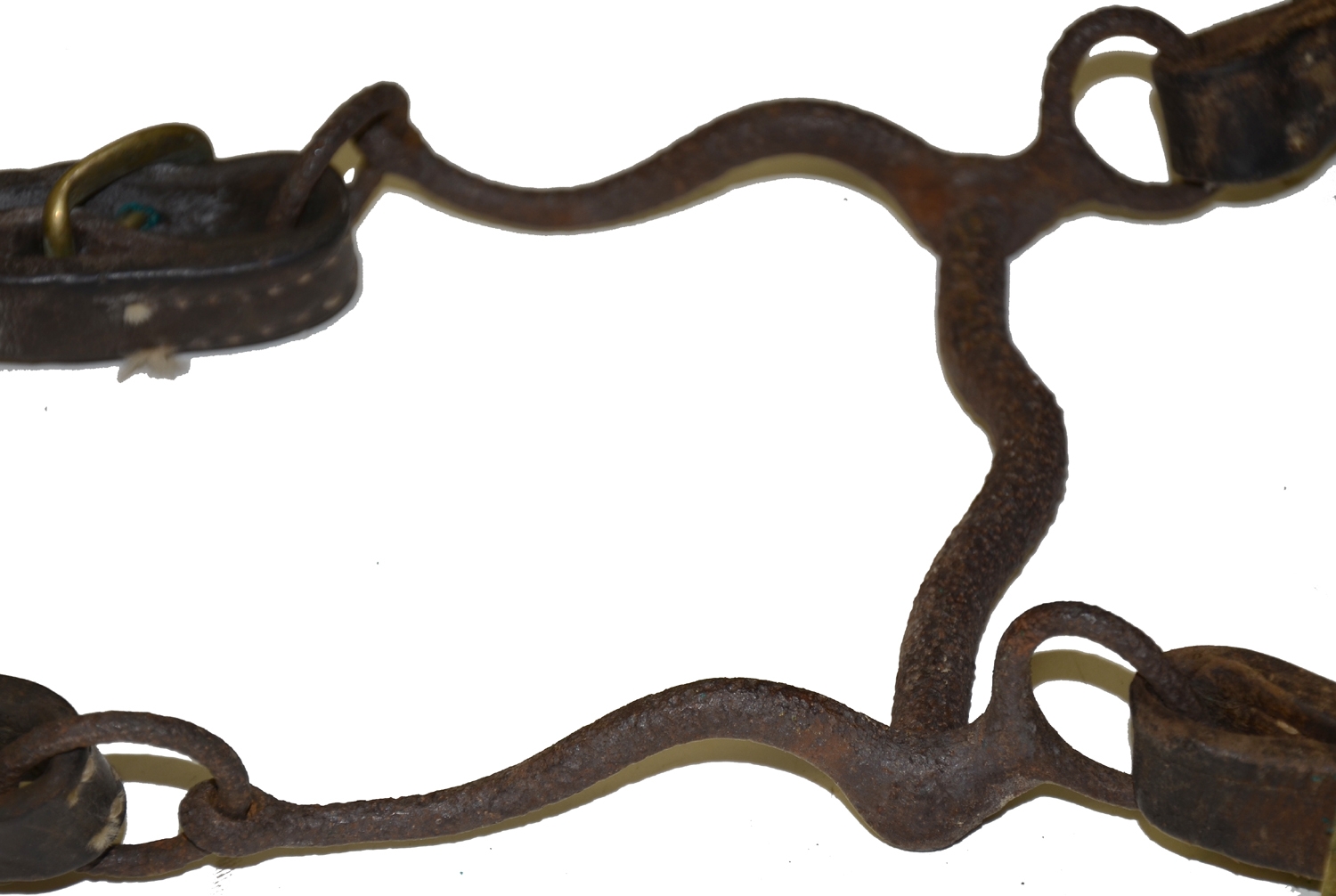 Image 6