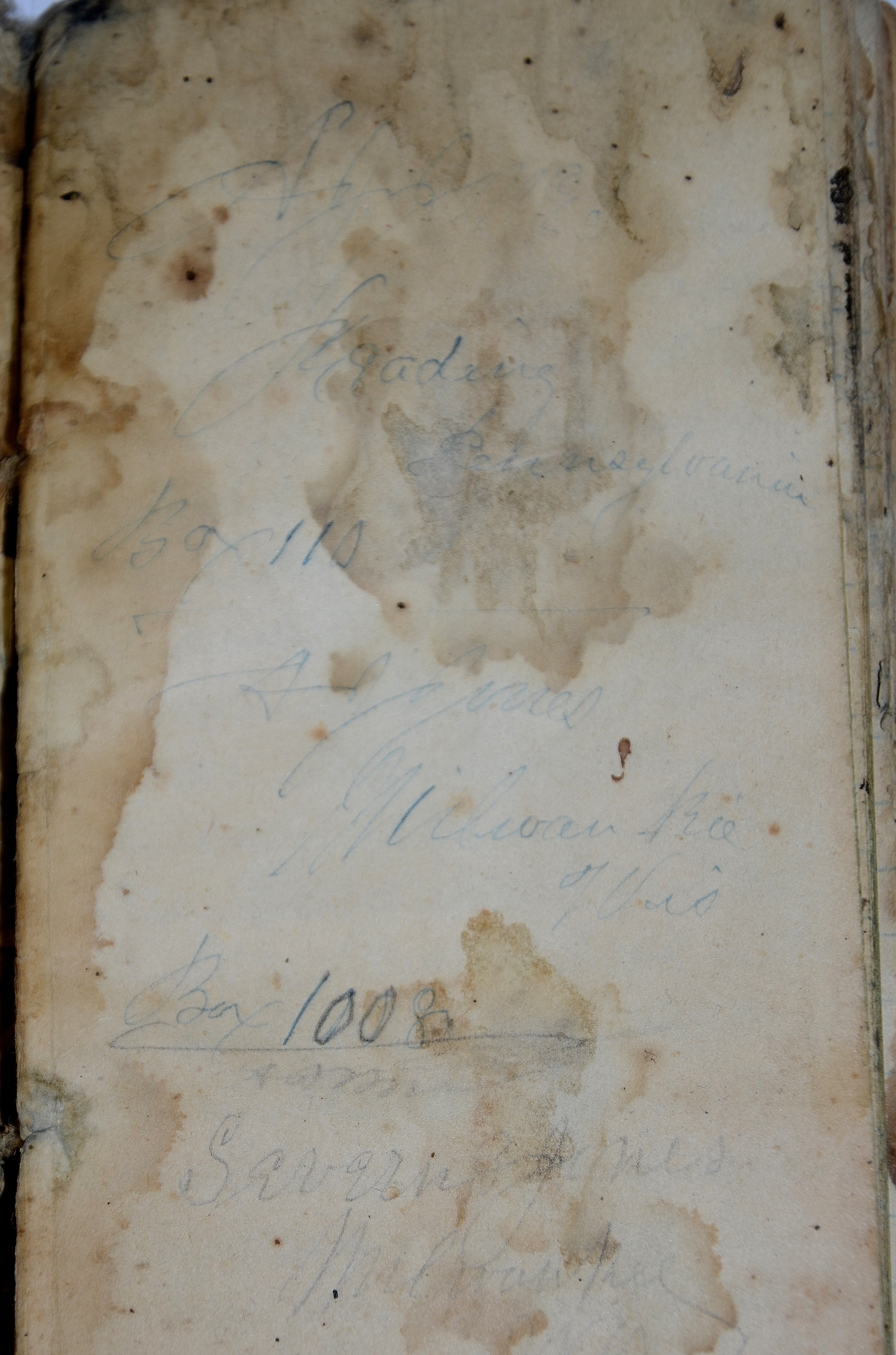 Image 4