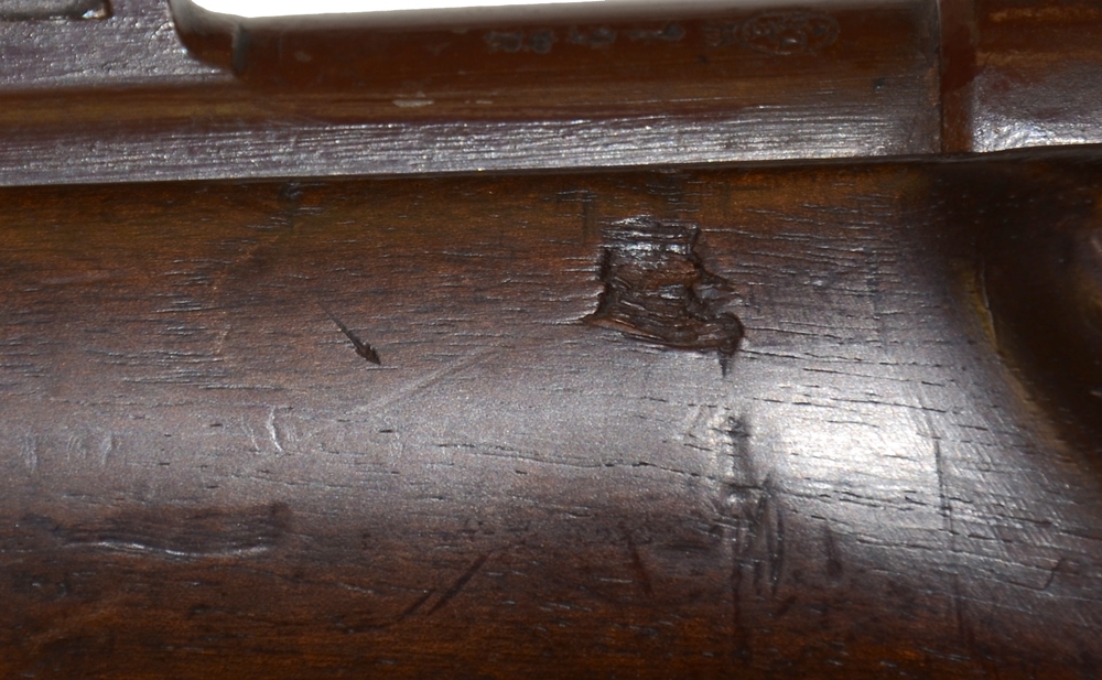 Image 16