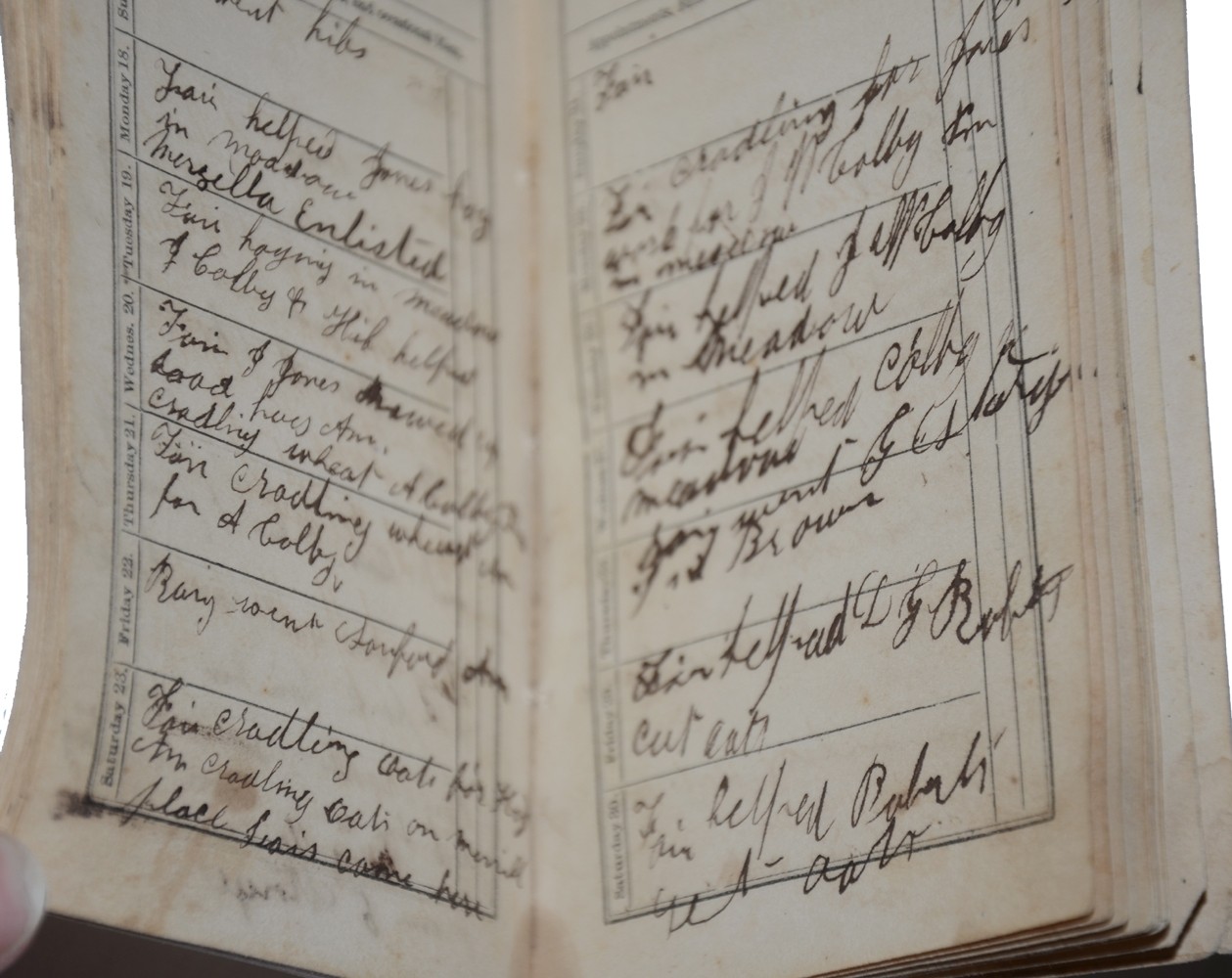 Image 3
