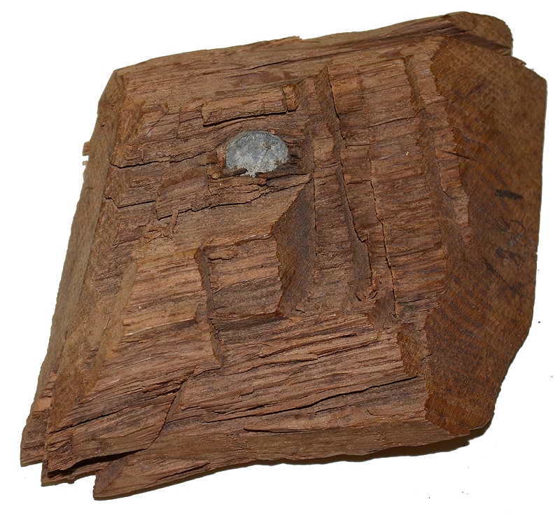 SHARPS BULLET IN WOOD FROM CULP’S HILL