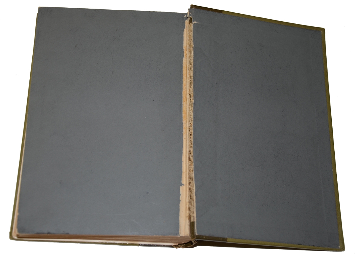 Image 7