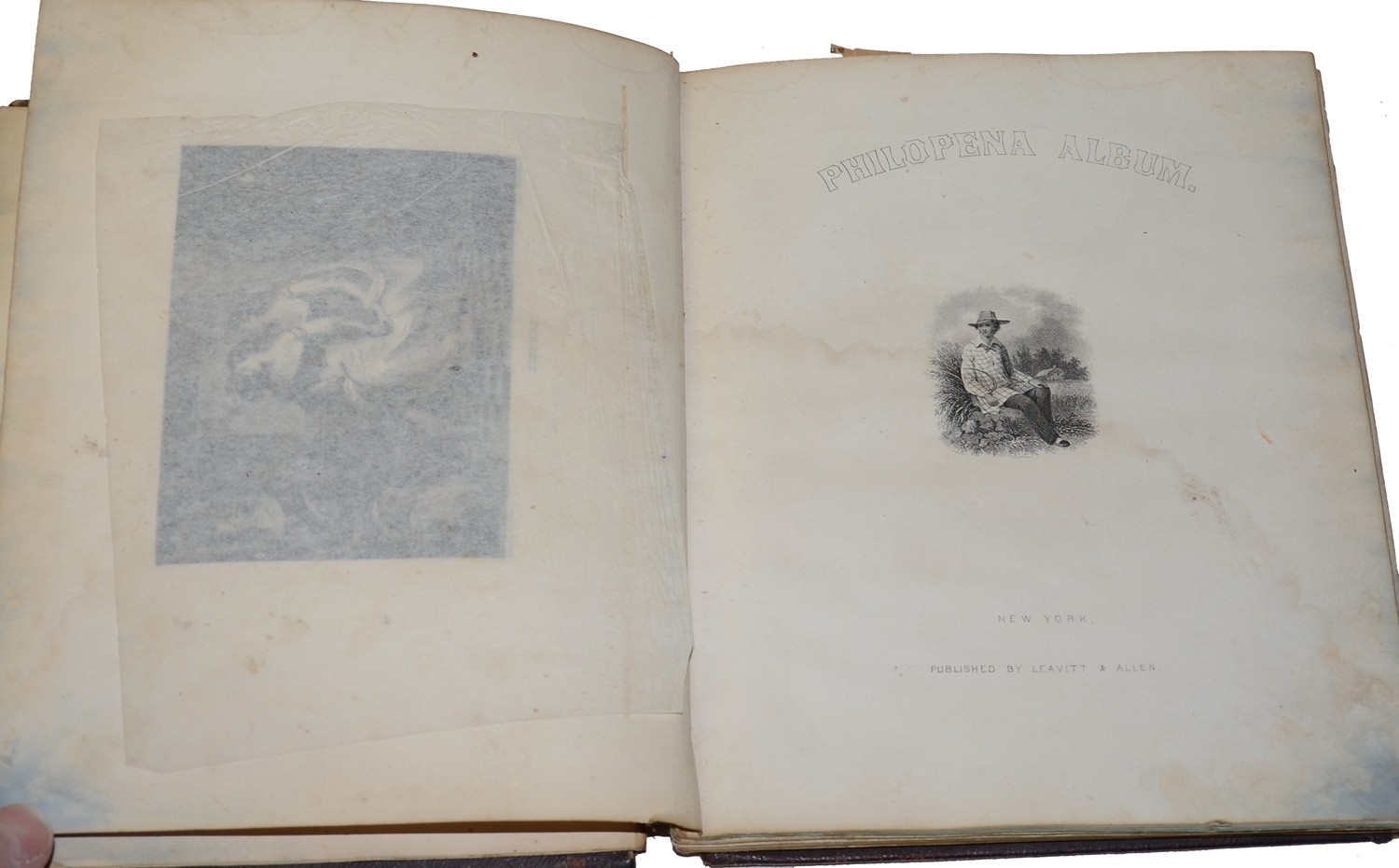 Image 5