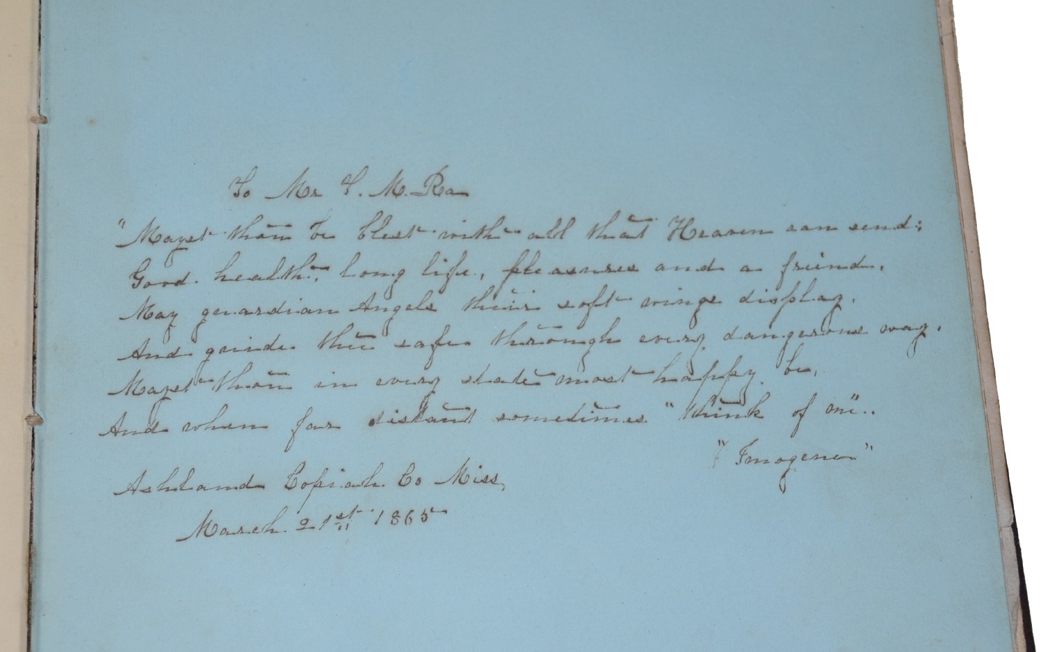Image 7