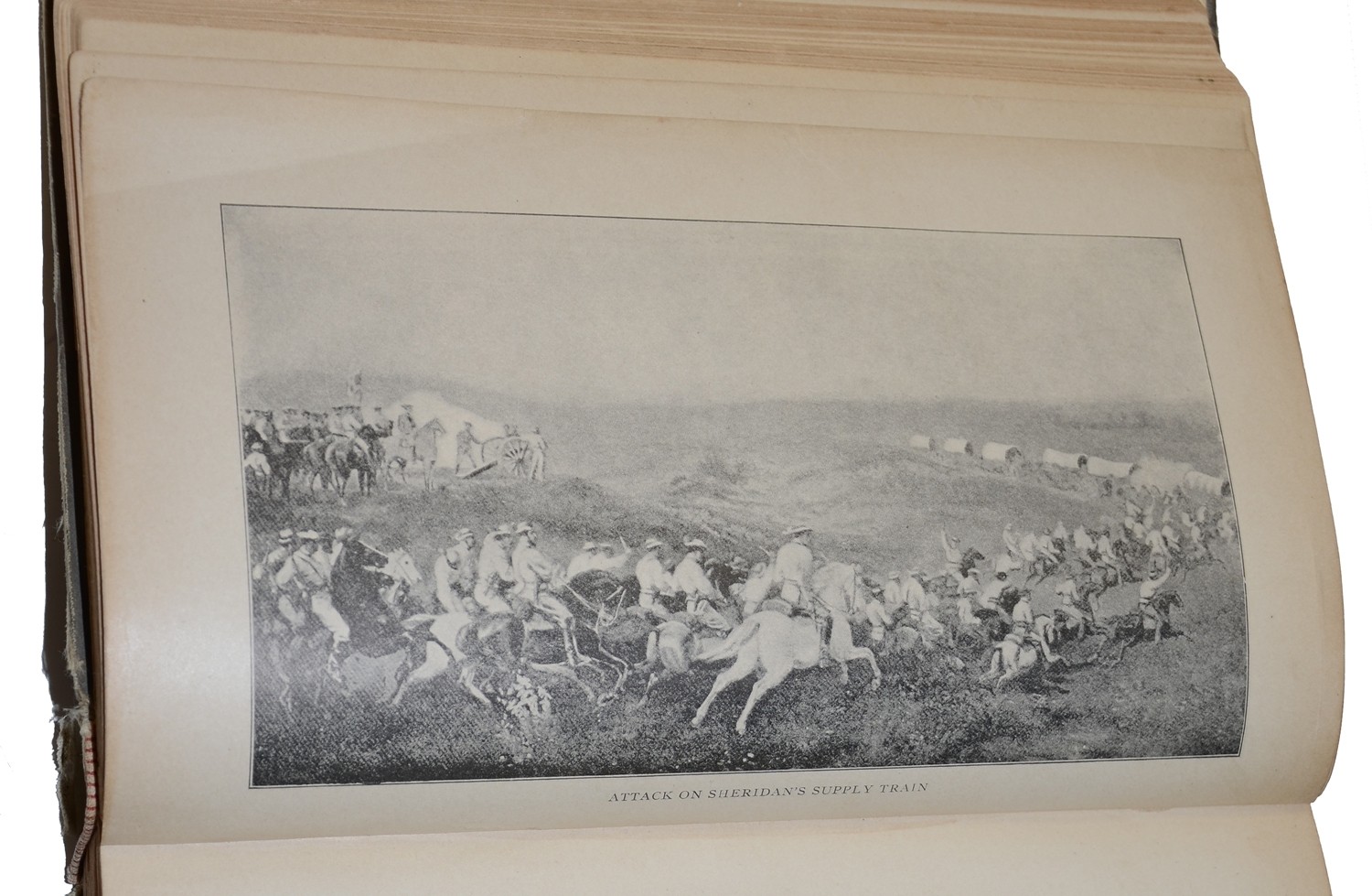 Image 6