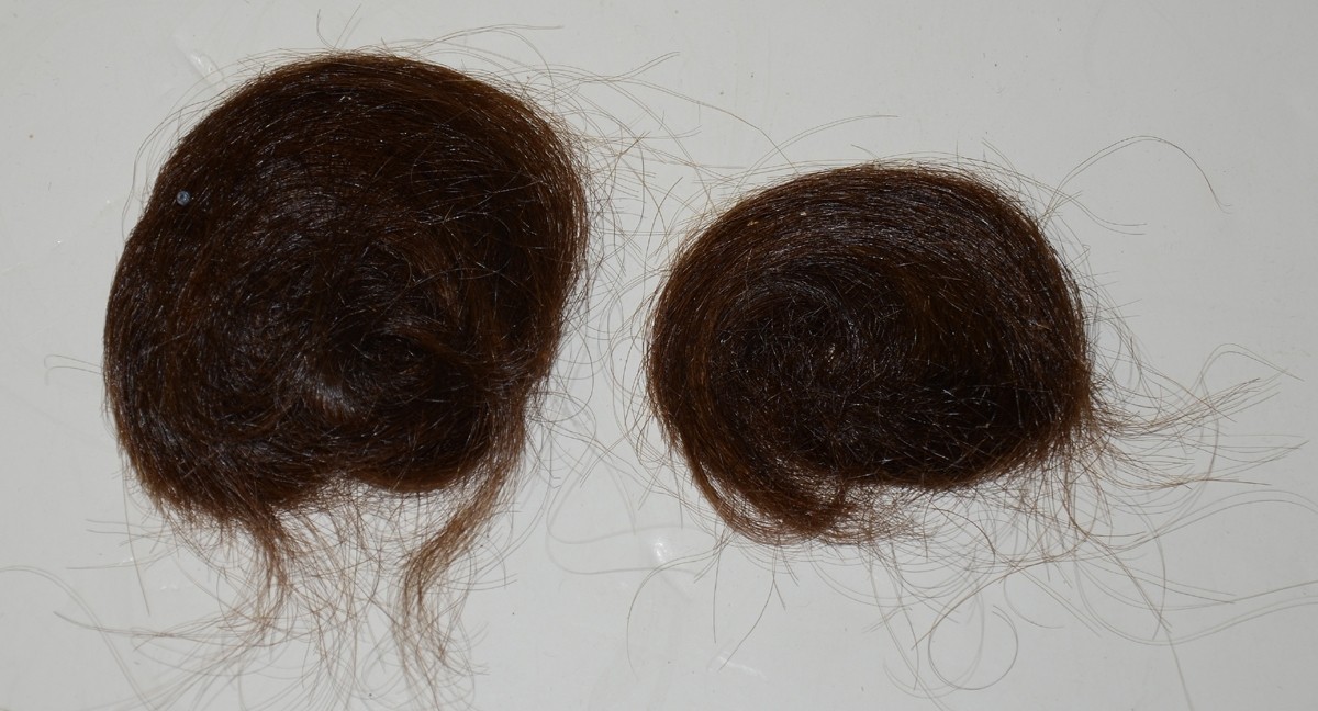 Image 19