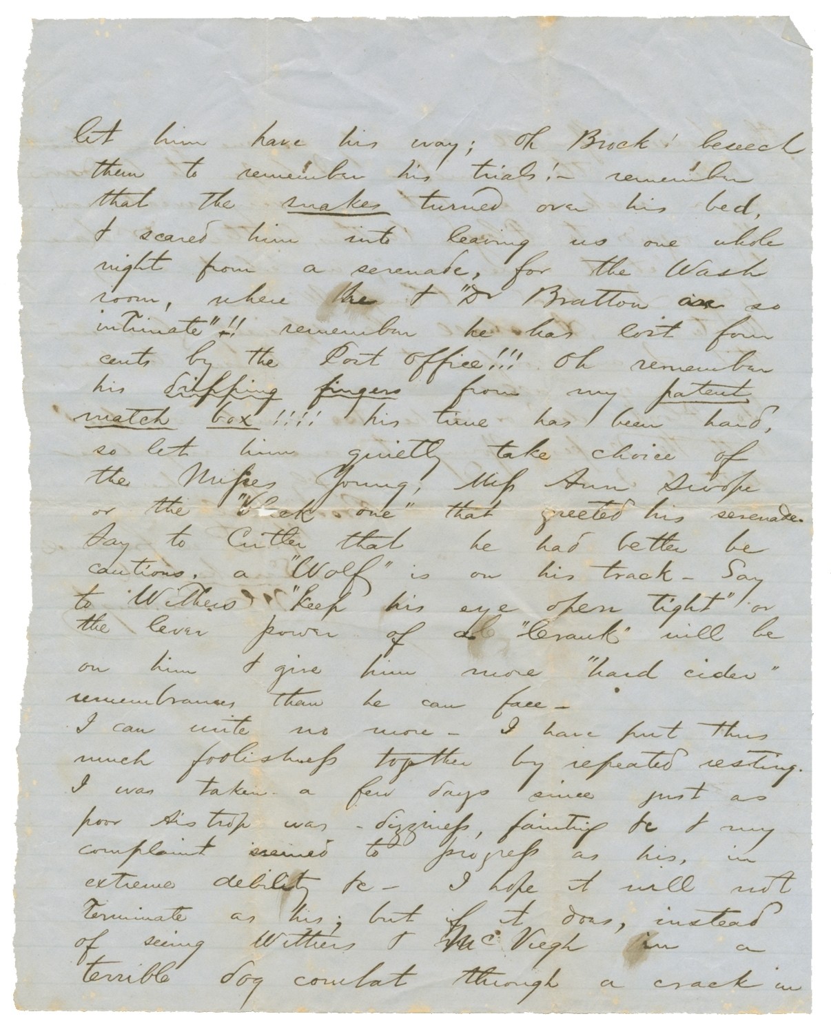 Image 5