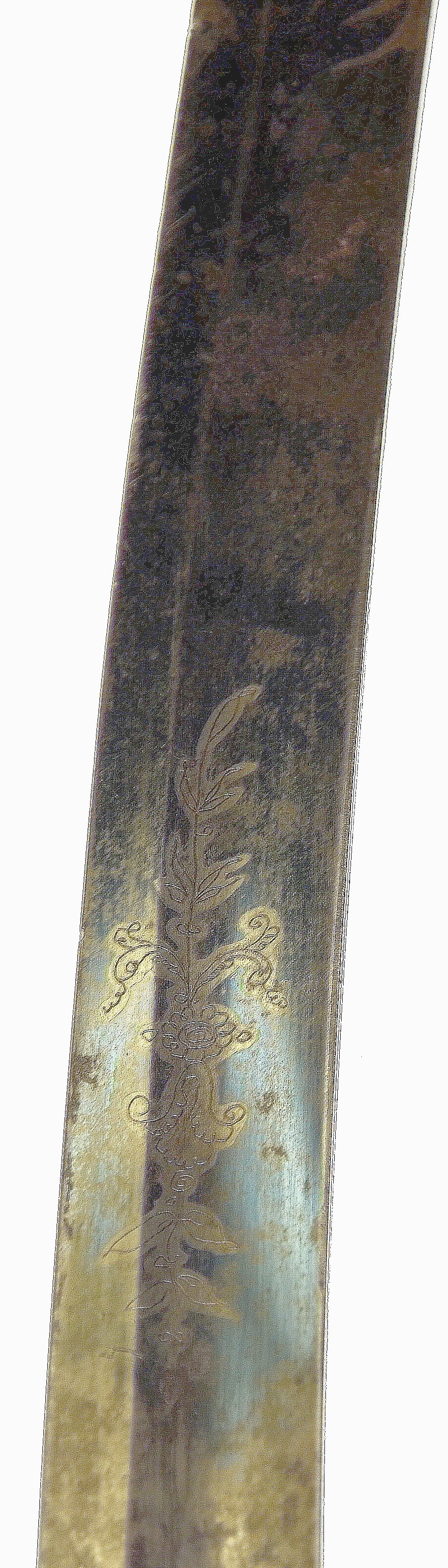 Image 15