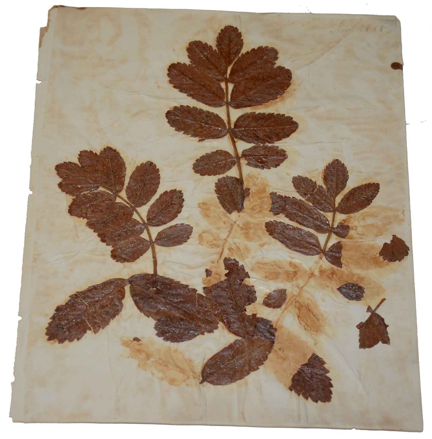 Image 3
