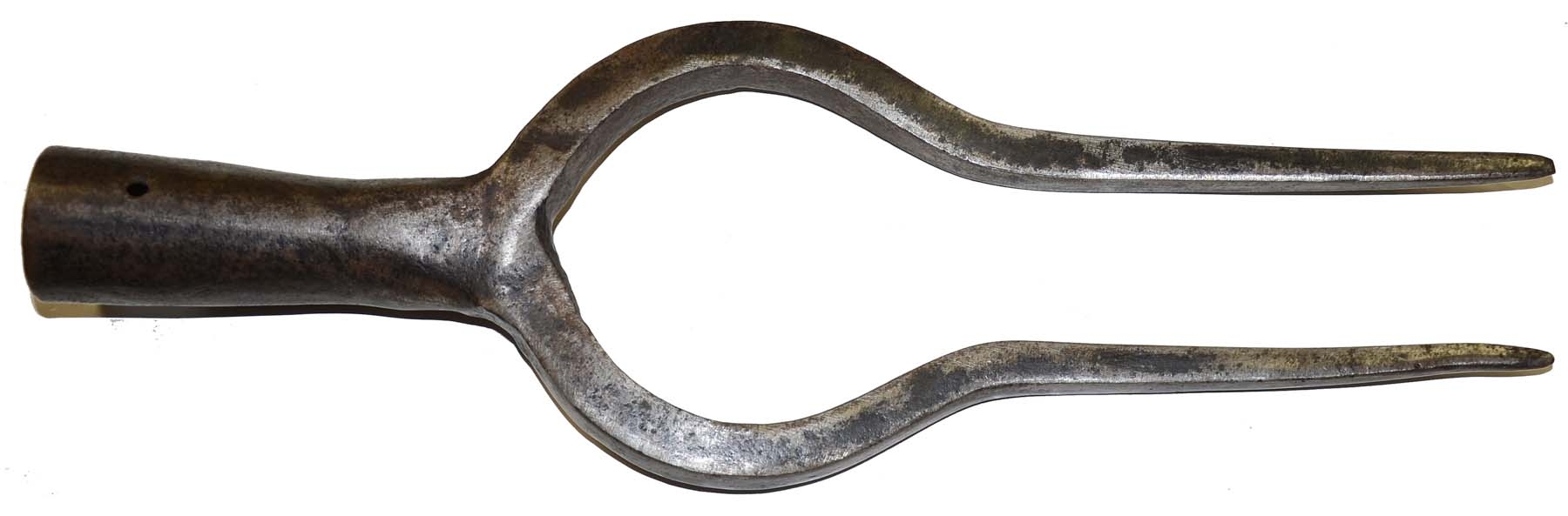 Image 4
