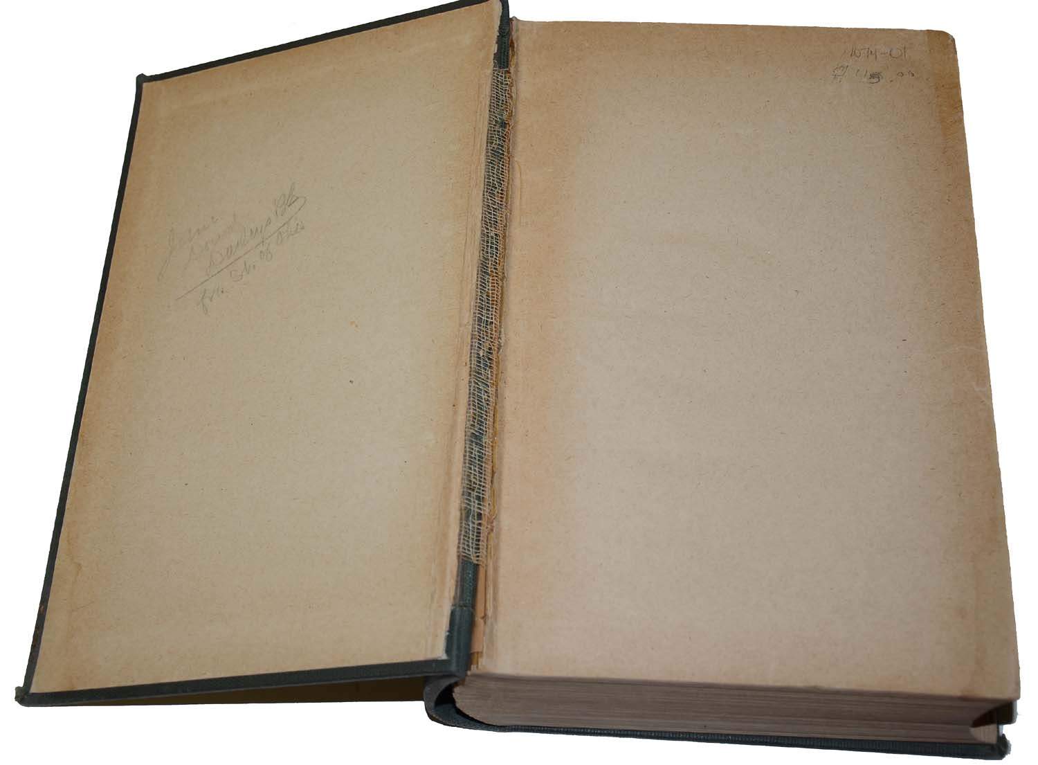 Image 4
