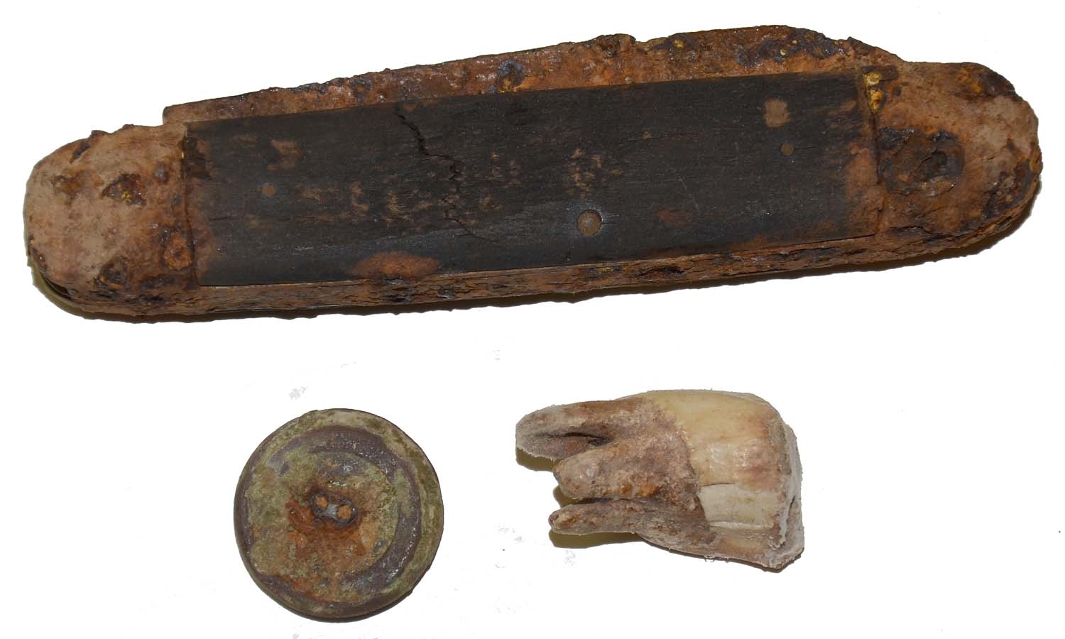 GROUP OF RELICS RECOVERED FROM THE TROSTLE FARM IN GETTYSBURG — Horse
