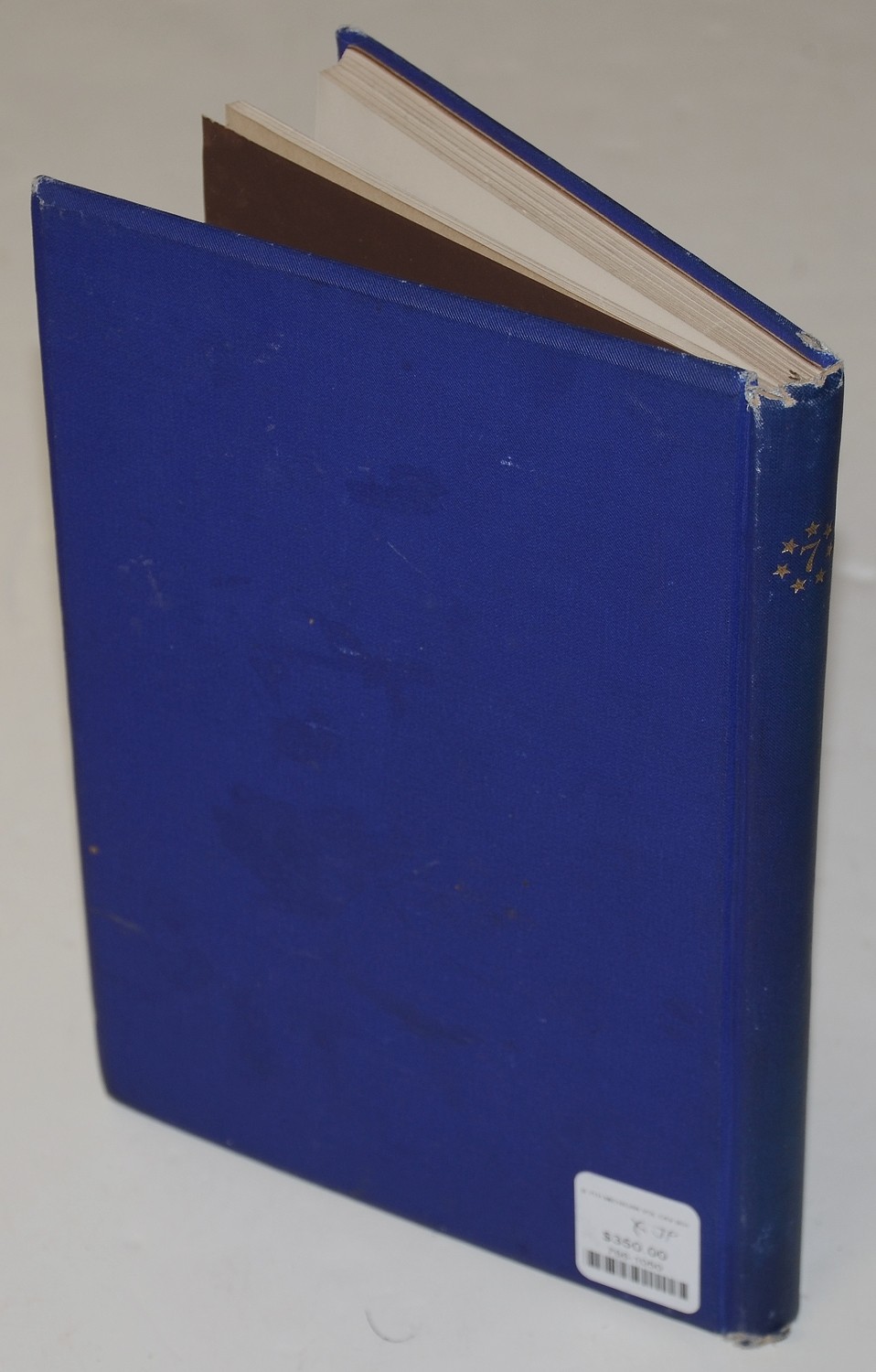 Image 2