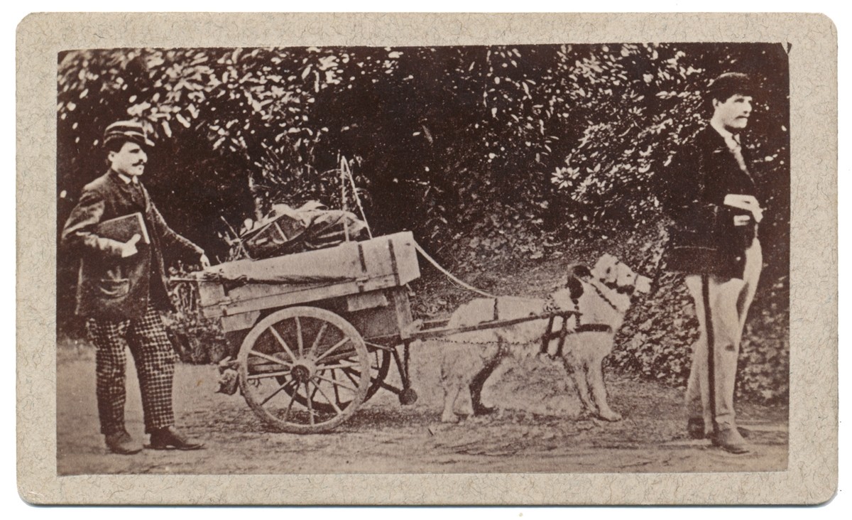 CDV OF A DOG CART	