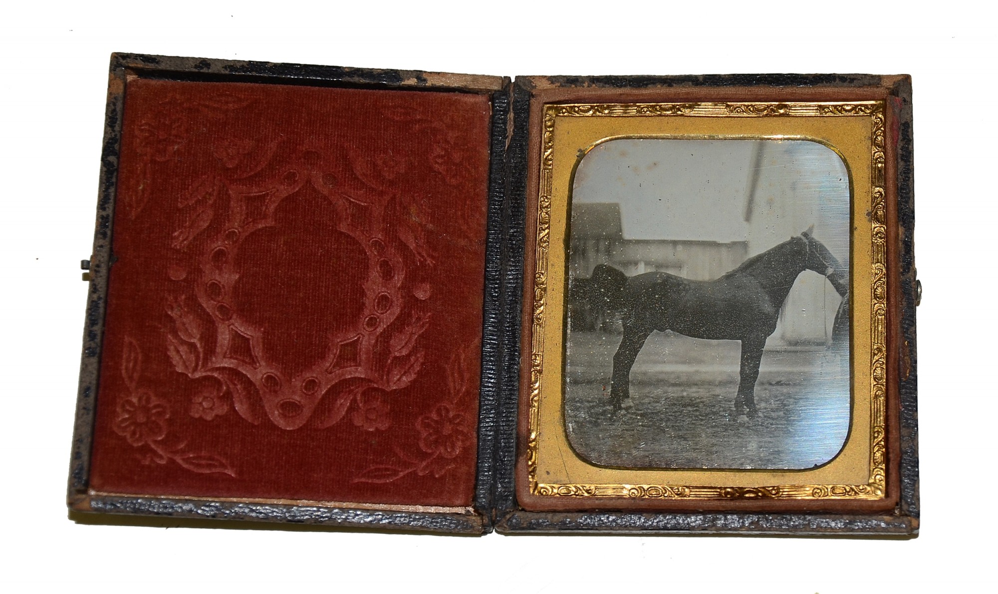SIXTH PLATE DAGUERREOTYPE OF HORSE