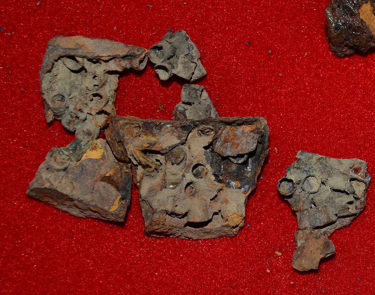 Image 4