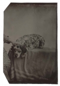 1/8 PLATE TINTYPE OF A DOG