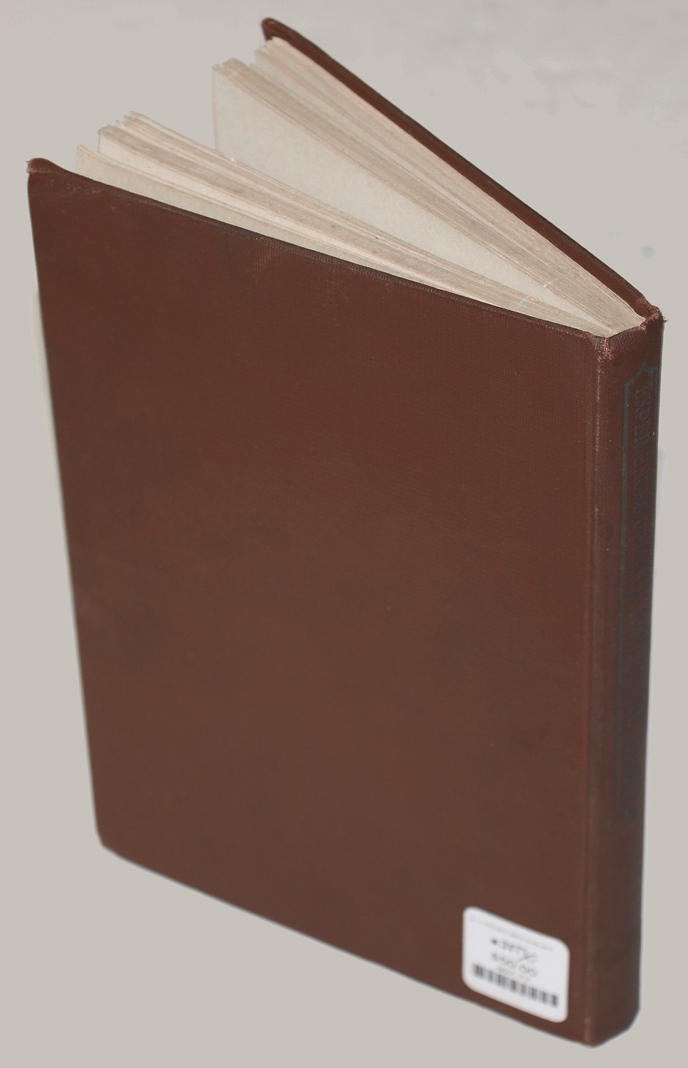Image 2