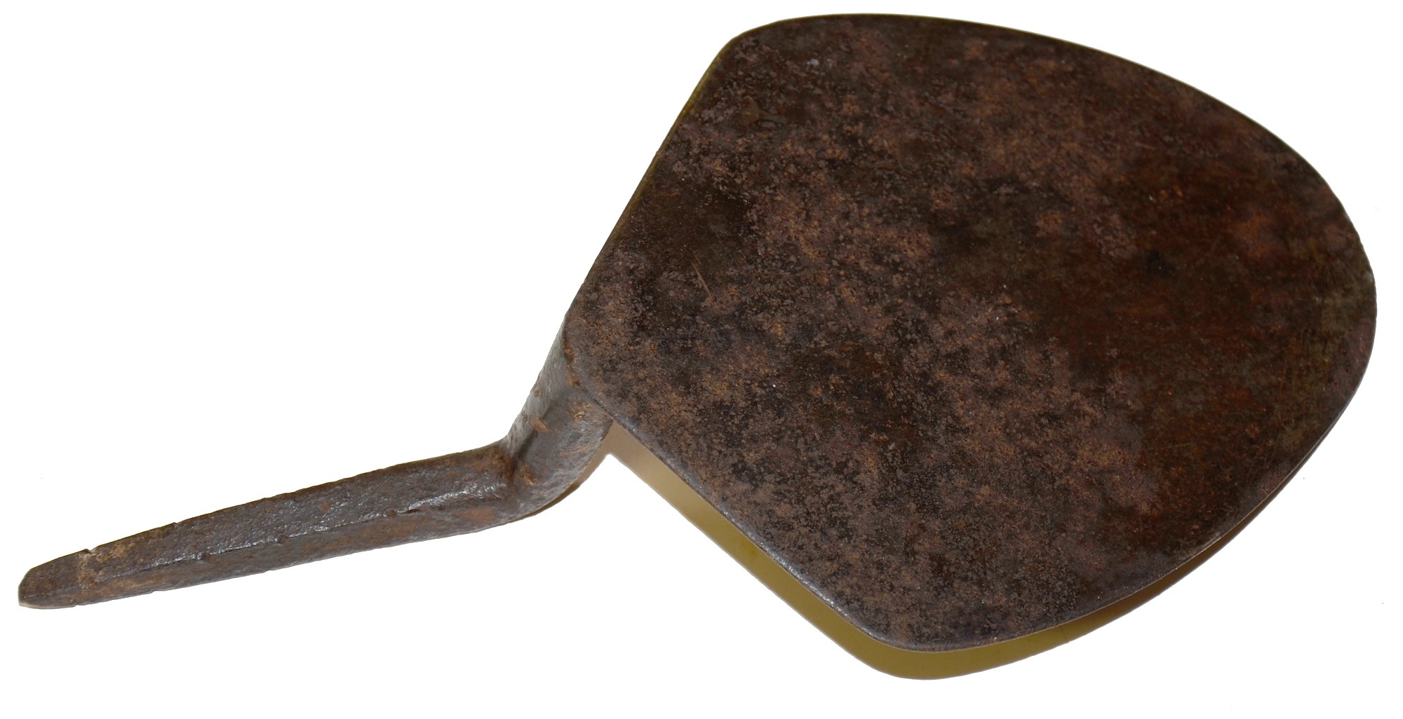 Image 4