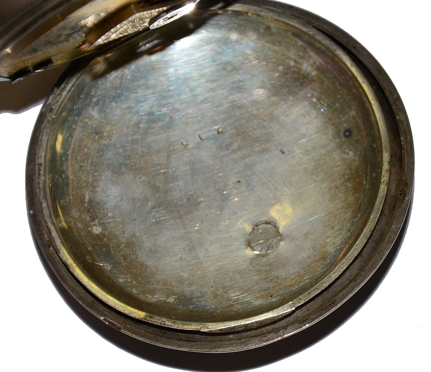 Image 7