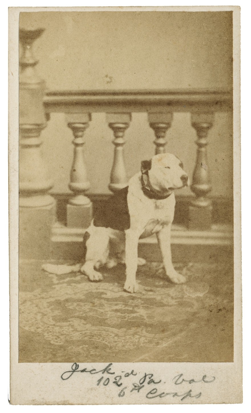CDV OF “JACK” THE DOG – MASCOT OF THE 102ND PENNSYLVANIA VOLUNTEERS