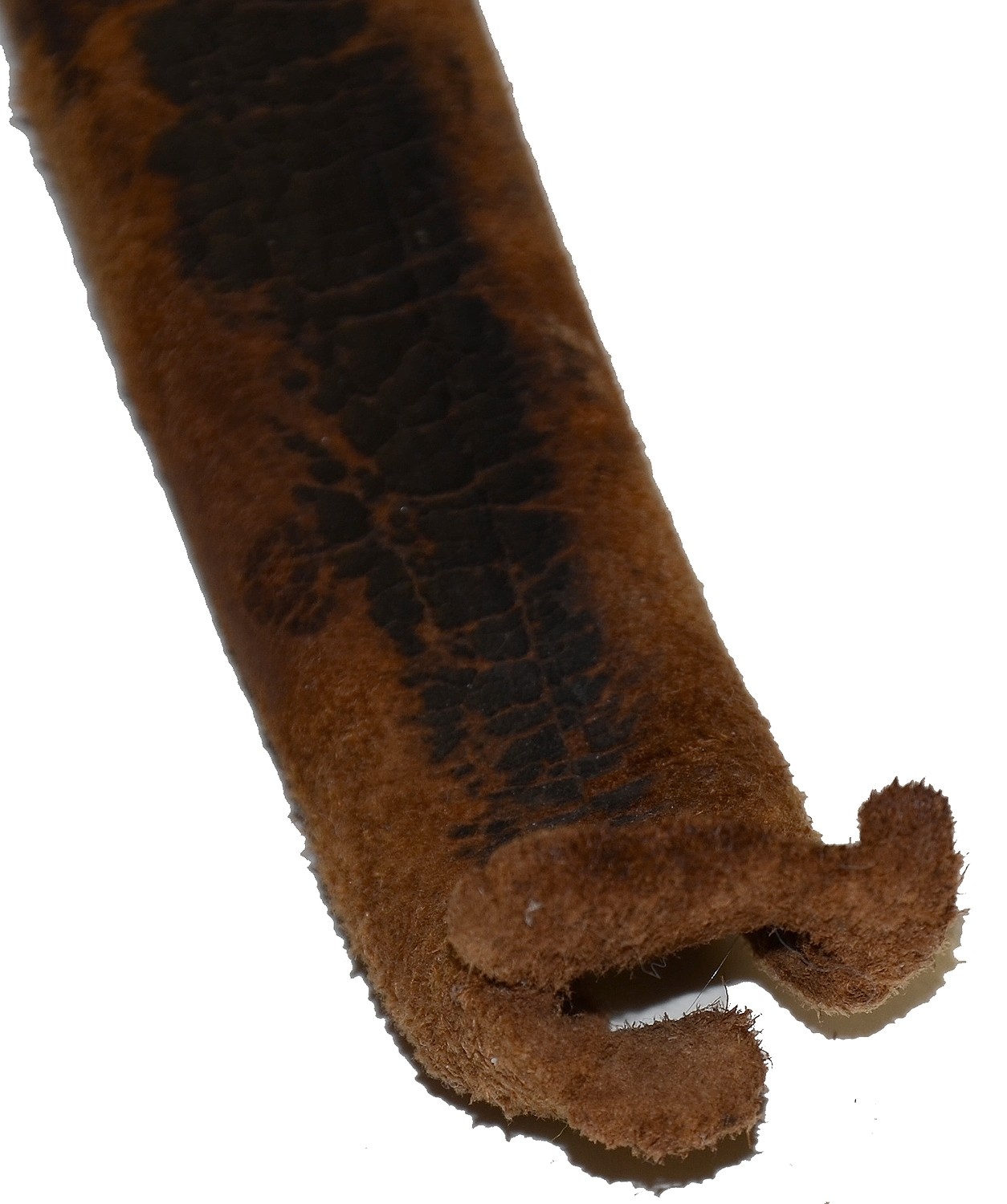 Image 15
