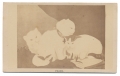 CDV DRAWING OF THREE CATS