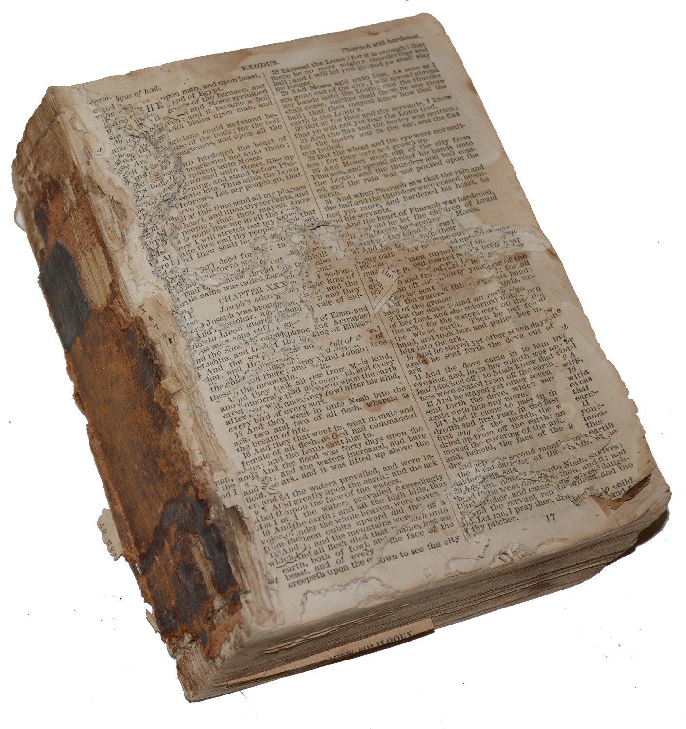 Image 7