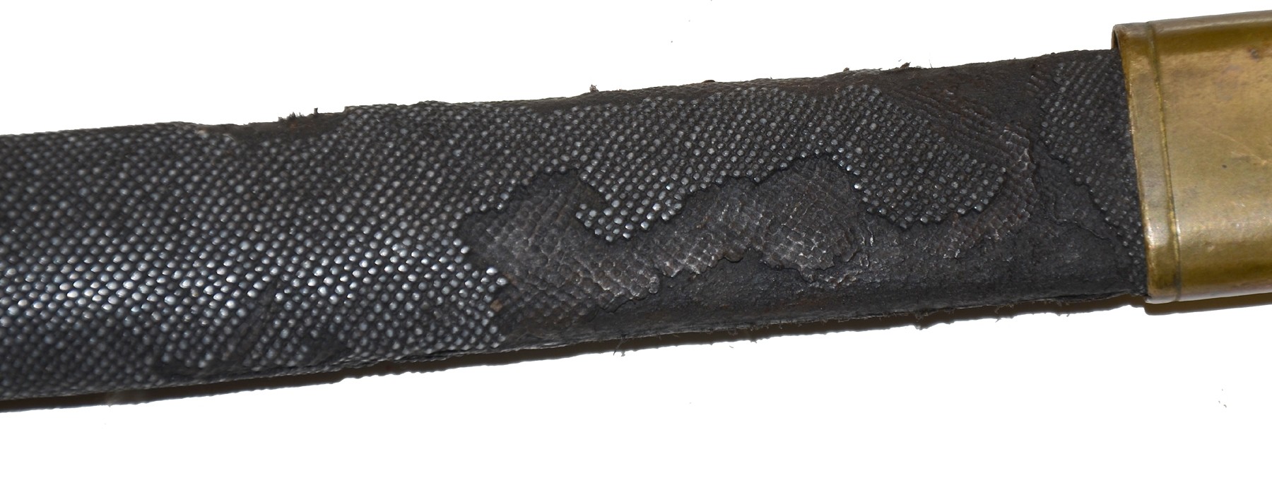 Image 13