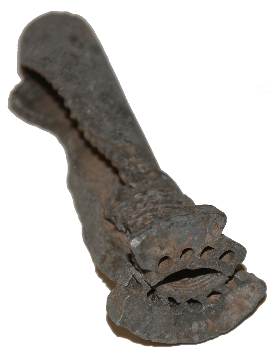 Image 5