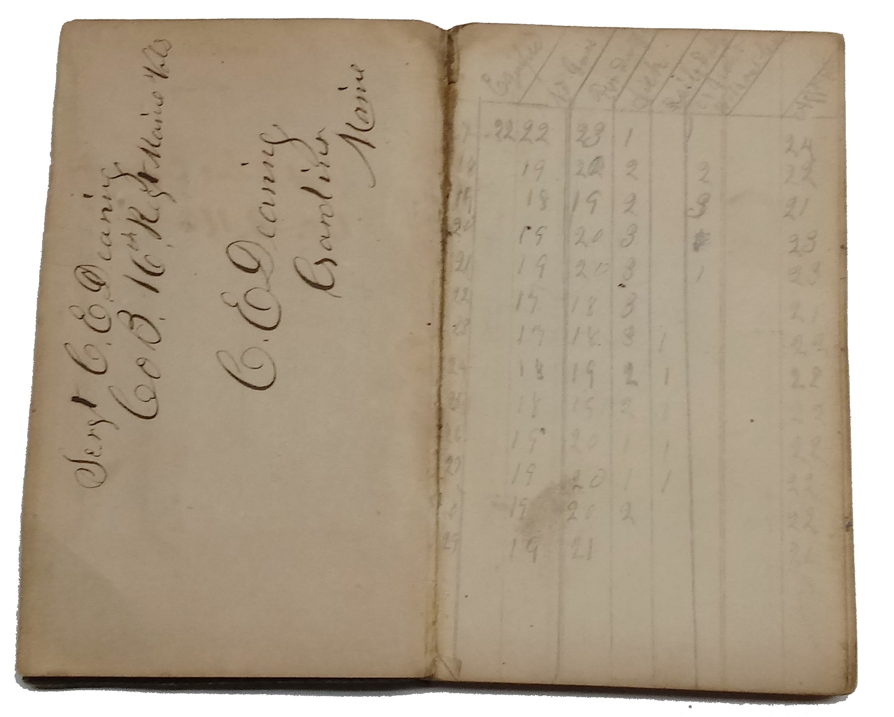 Image 3