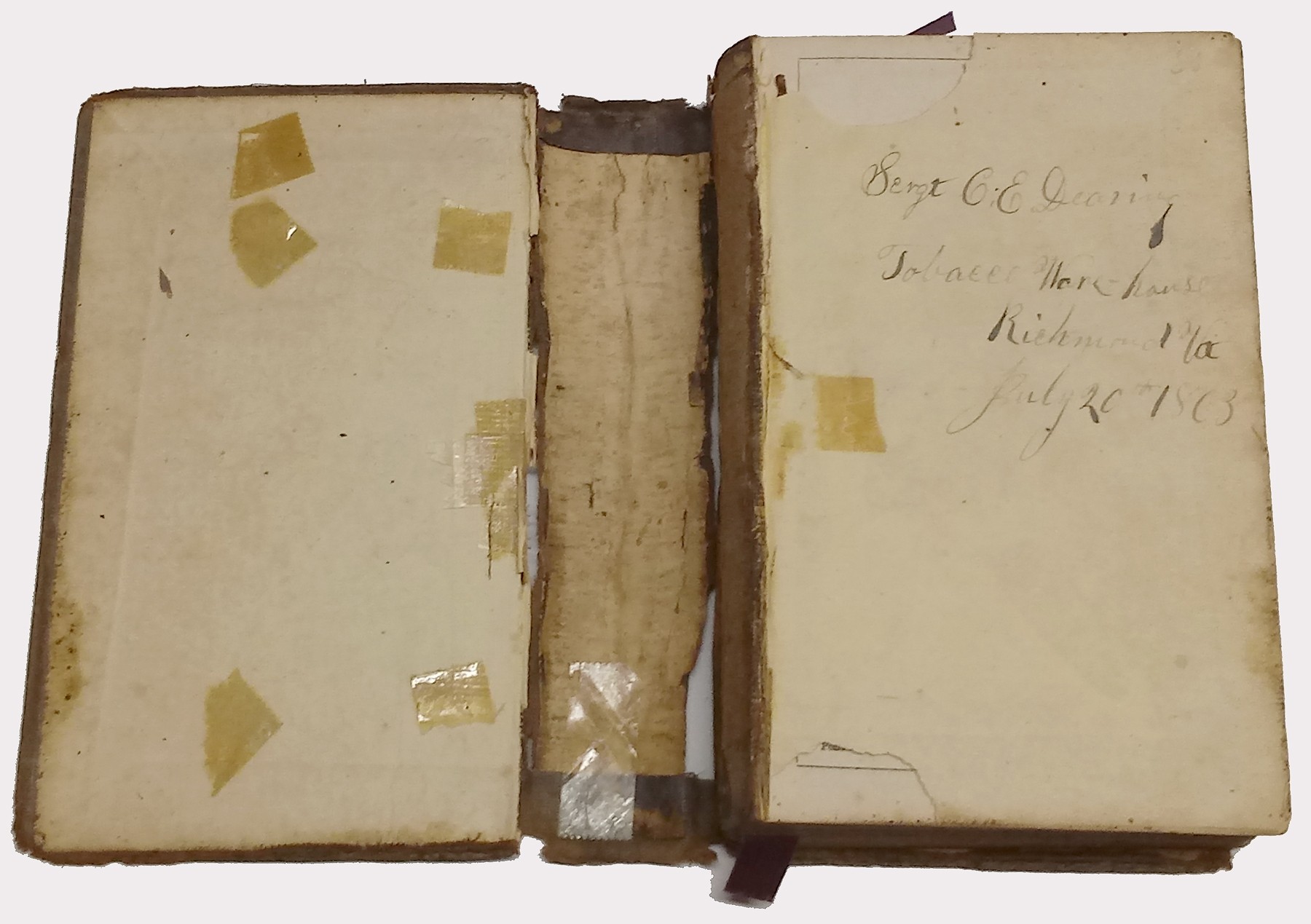 Image 4