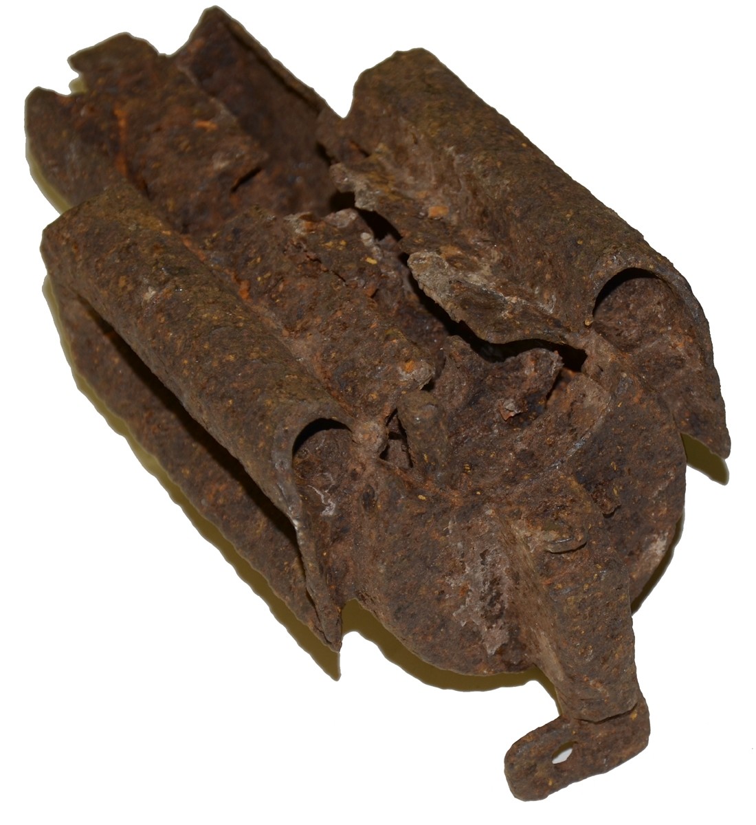 Image 4