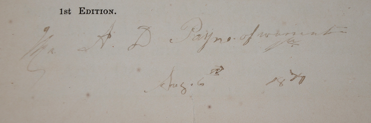 Image 10