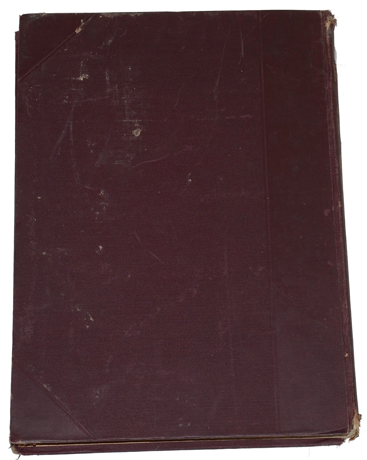 Image 7