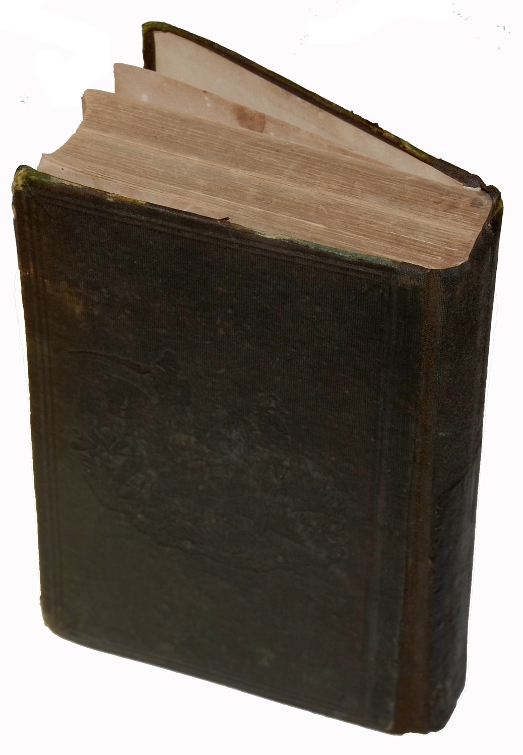 Image 2