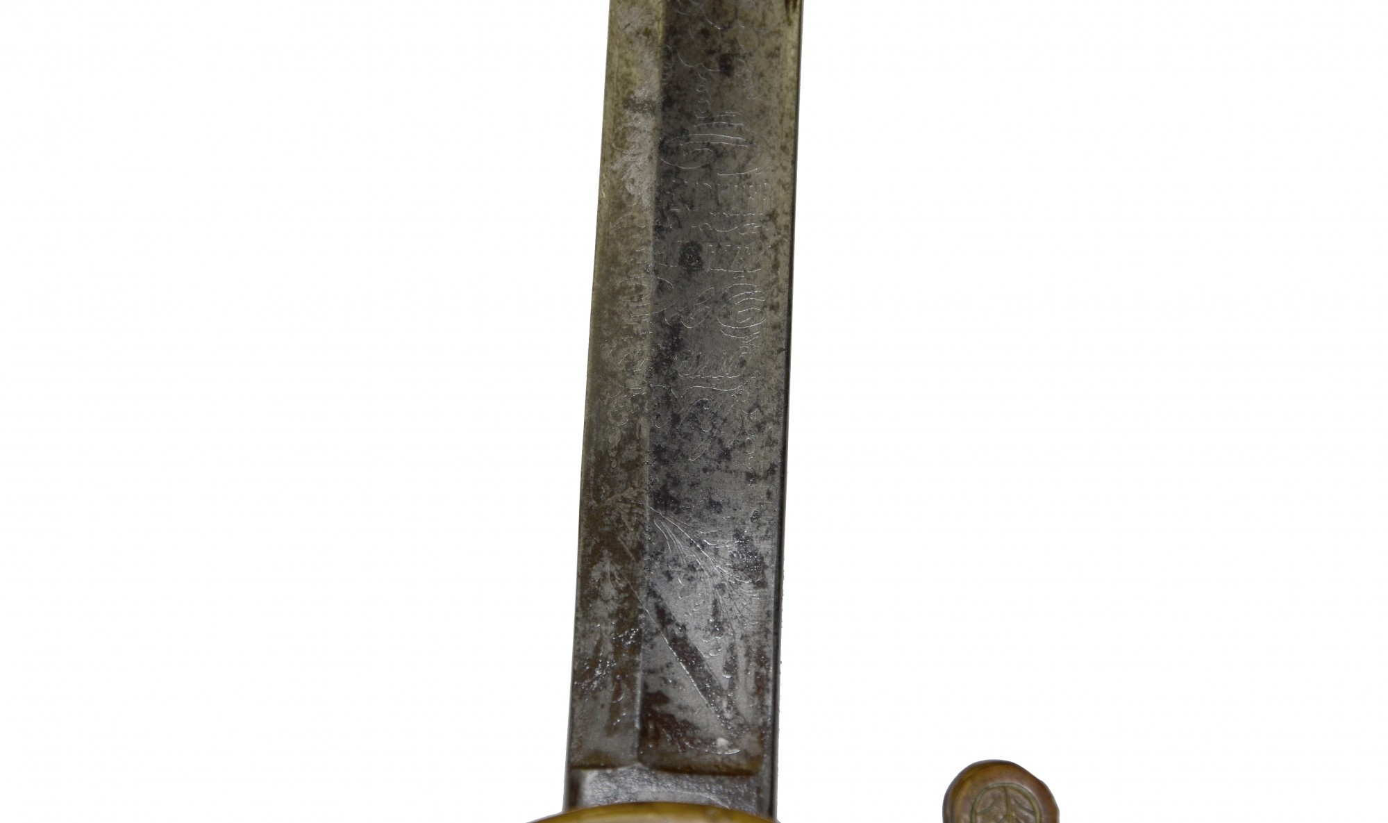 Image 14