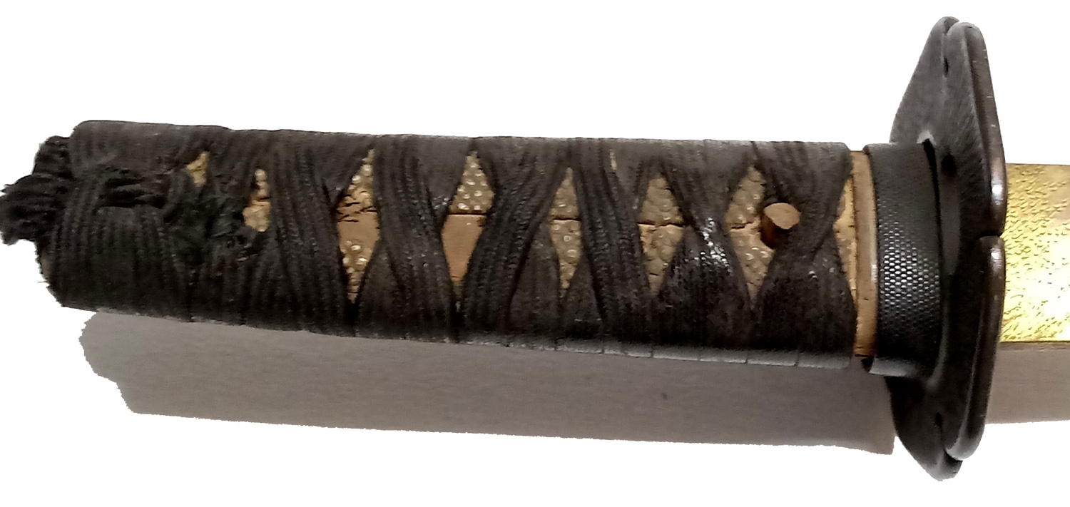 Image 6