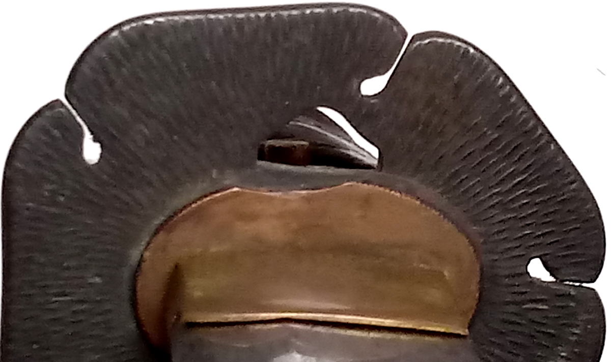 Image 7